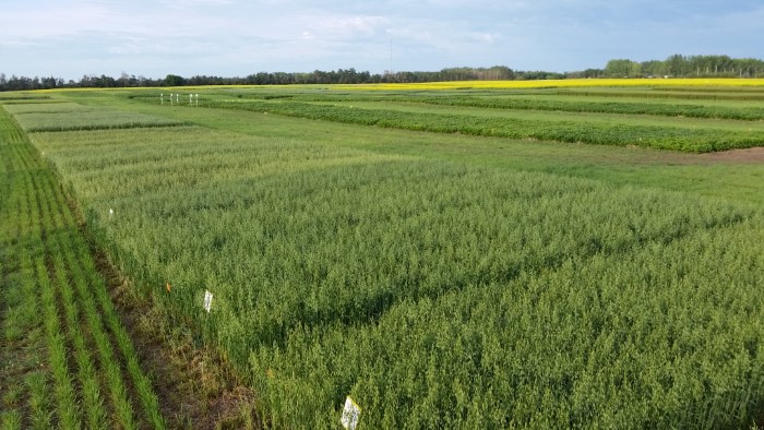 2015plots1
