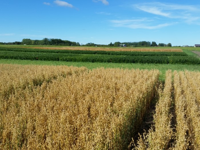 2015plots2