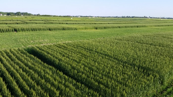 2018mainsitetrials