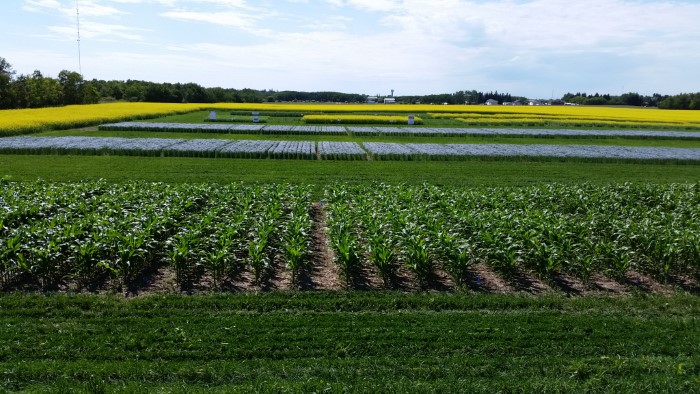 2018offsitetrials