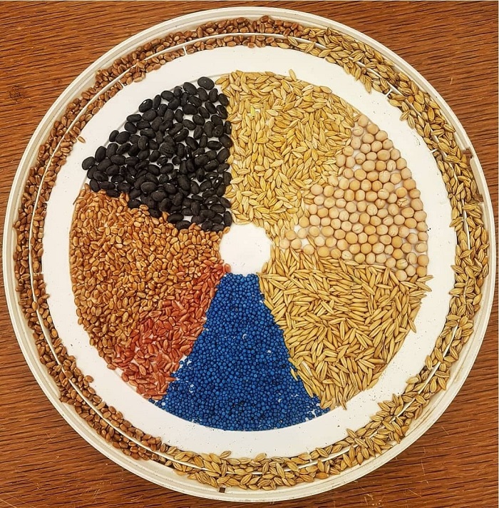 2019seeds