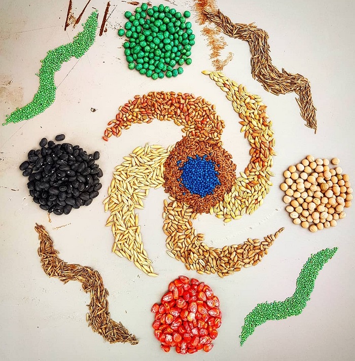 2020seeds