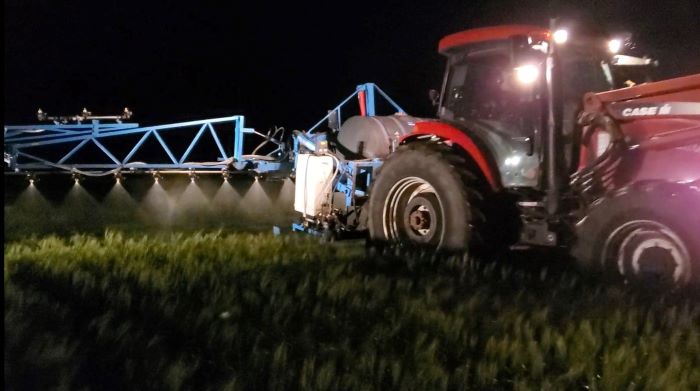 2020 night spraying